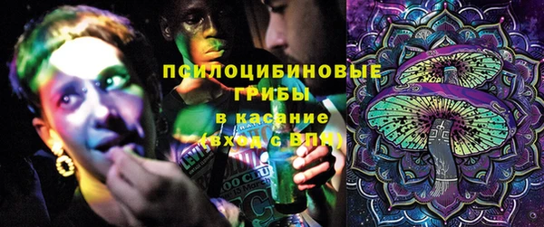 прущий лед Каменка