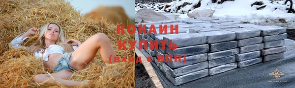 прущий лед Каменка