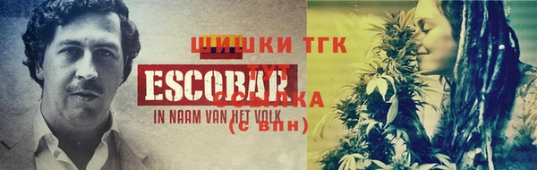 прущий лед Каменка