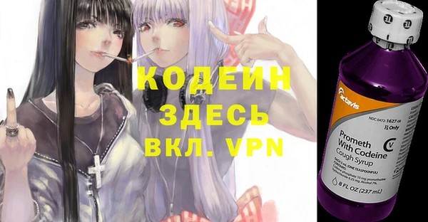 прущий лед Каменка