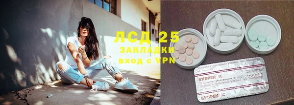прущий лед Каменка